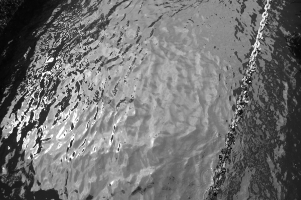 L'acqua della Laguna, b/w photograph